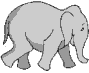 elephant[45]